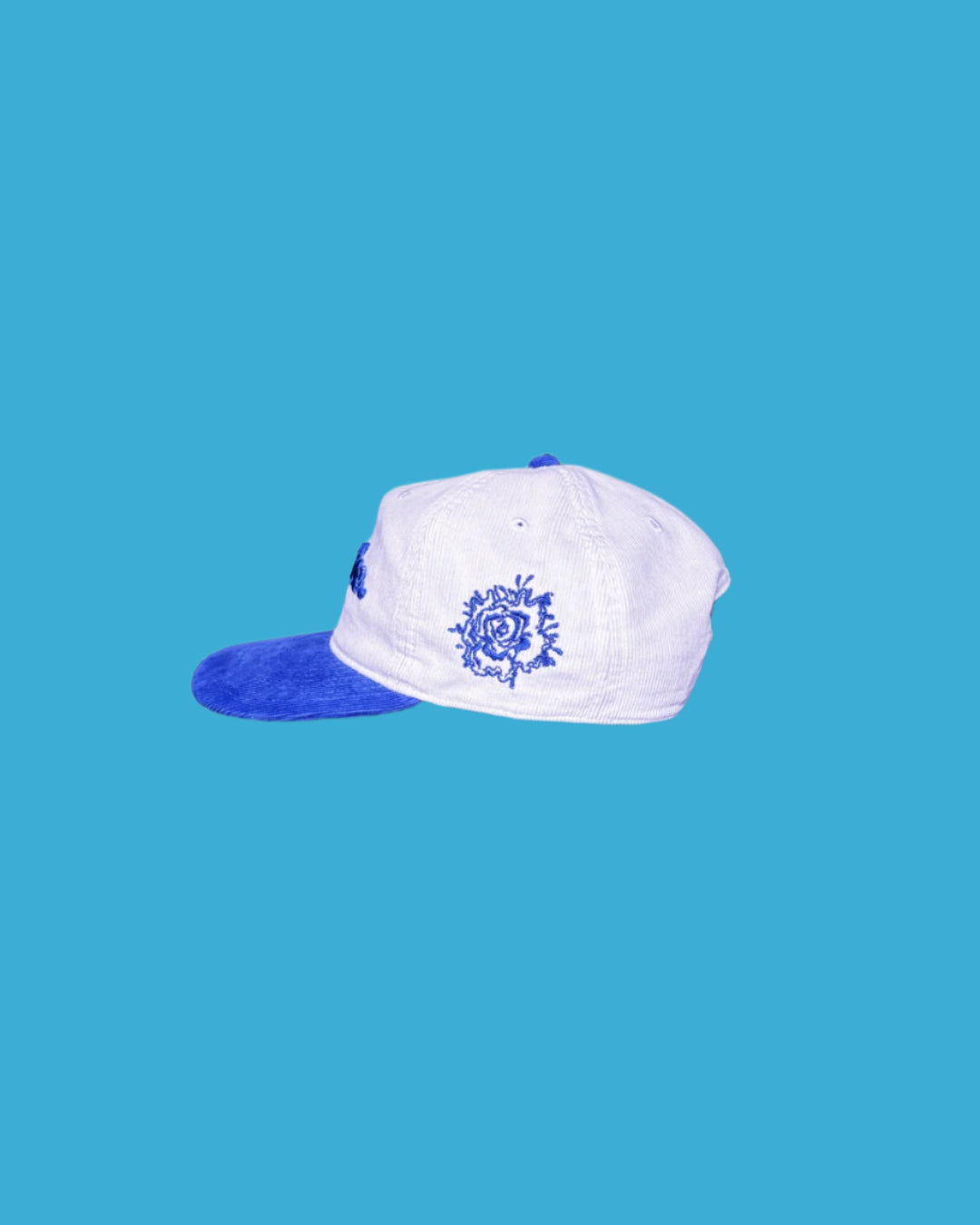 "Creative." Two Tone Corduroy Snapback